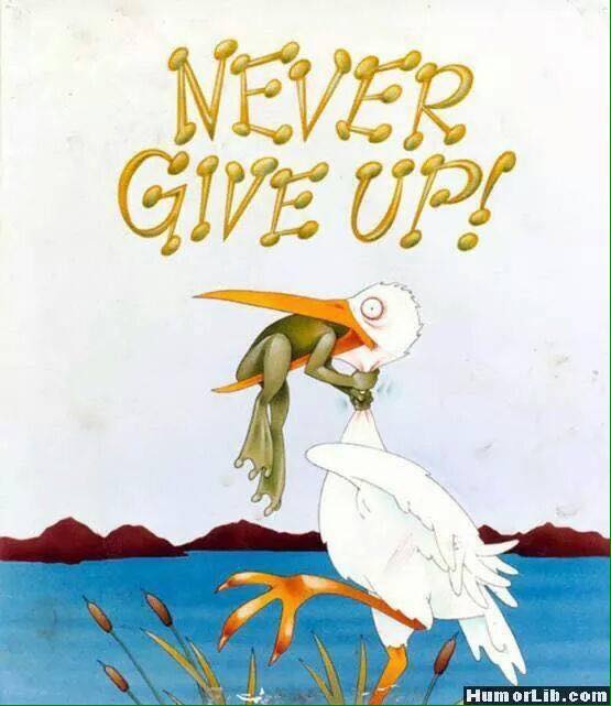 Never Give Up